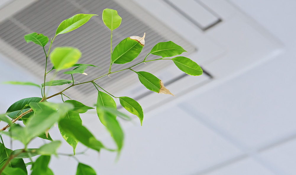 Indoor Air Quality Services